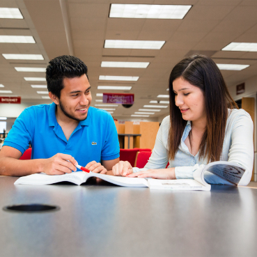 Two students studying