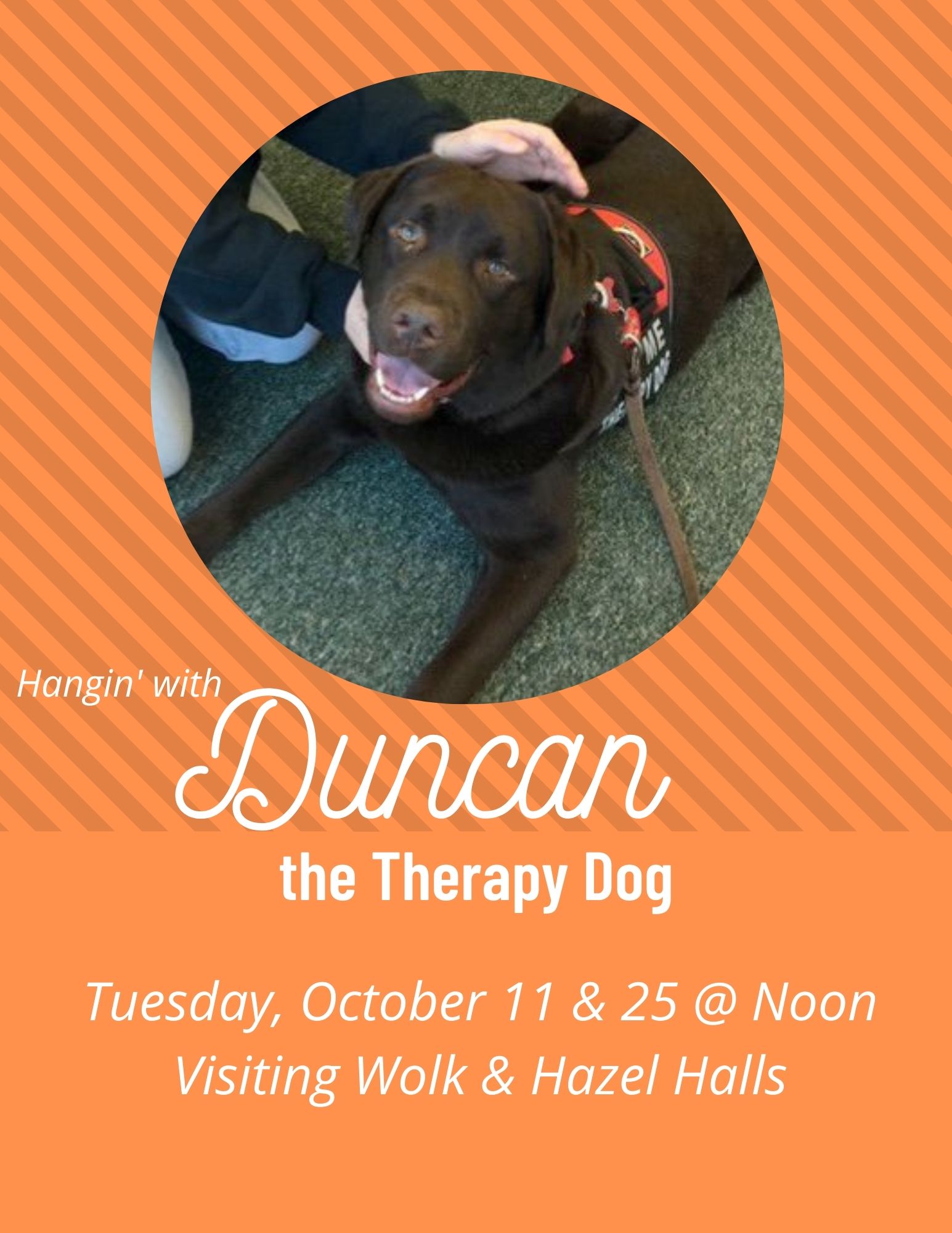 Duncan the Therapy Dog