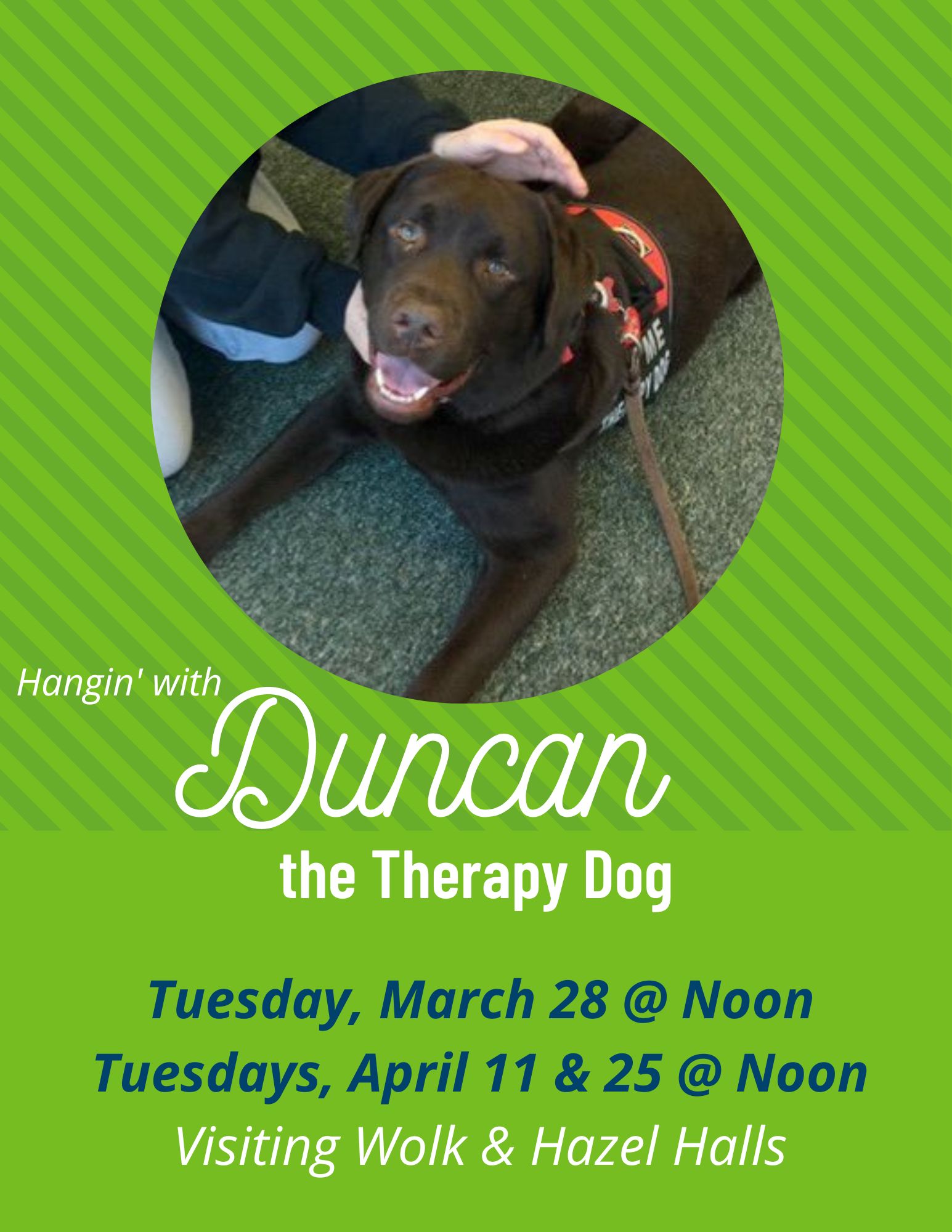 Duncan the Therapy Dog