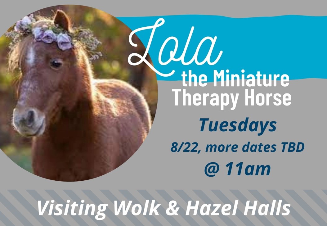 Therapy Horse flyer