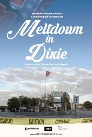 Meltdown in Dixie flyer