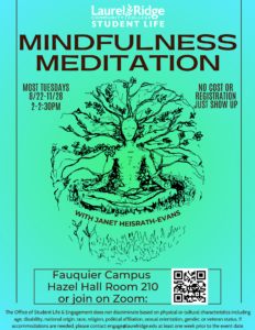 Mindful Meditation Flyer