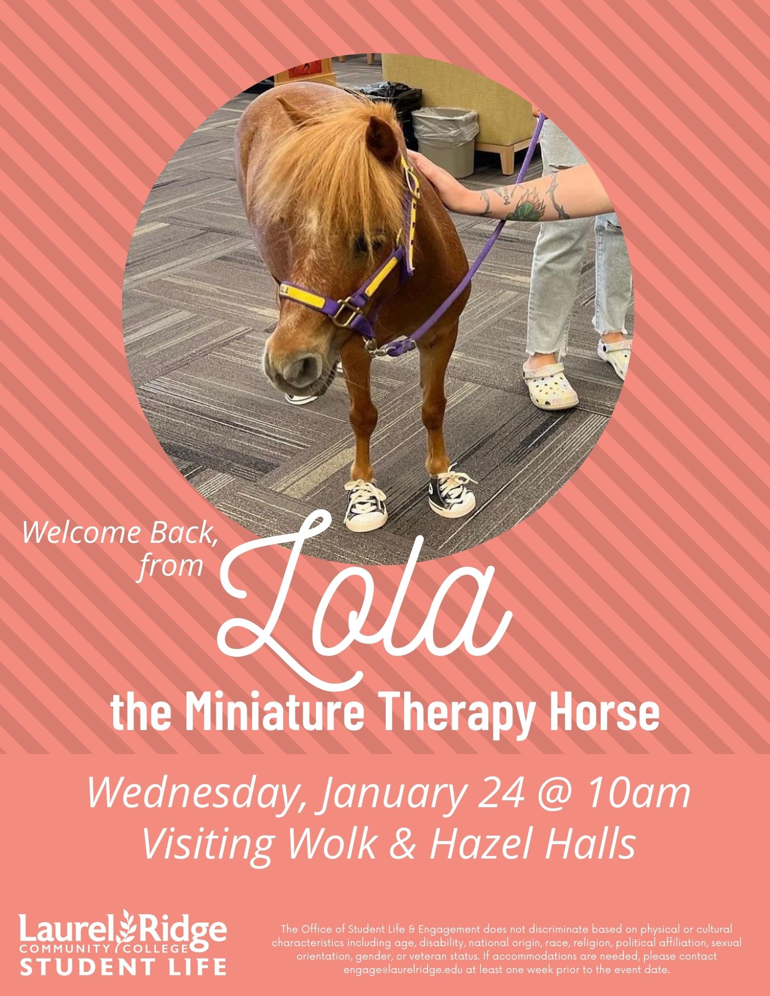 Lola the Therapy Horse