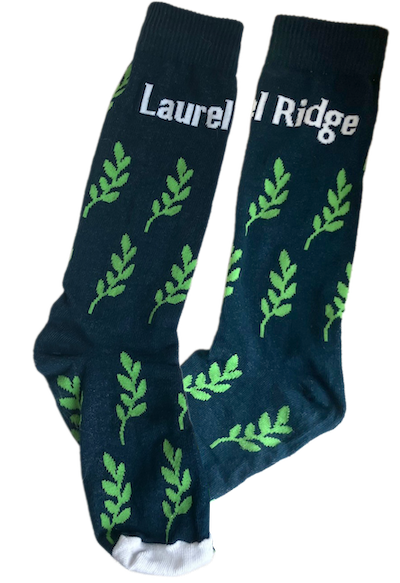 Laurel Ridge socks image