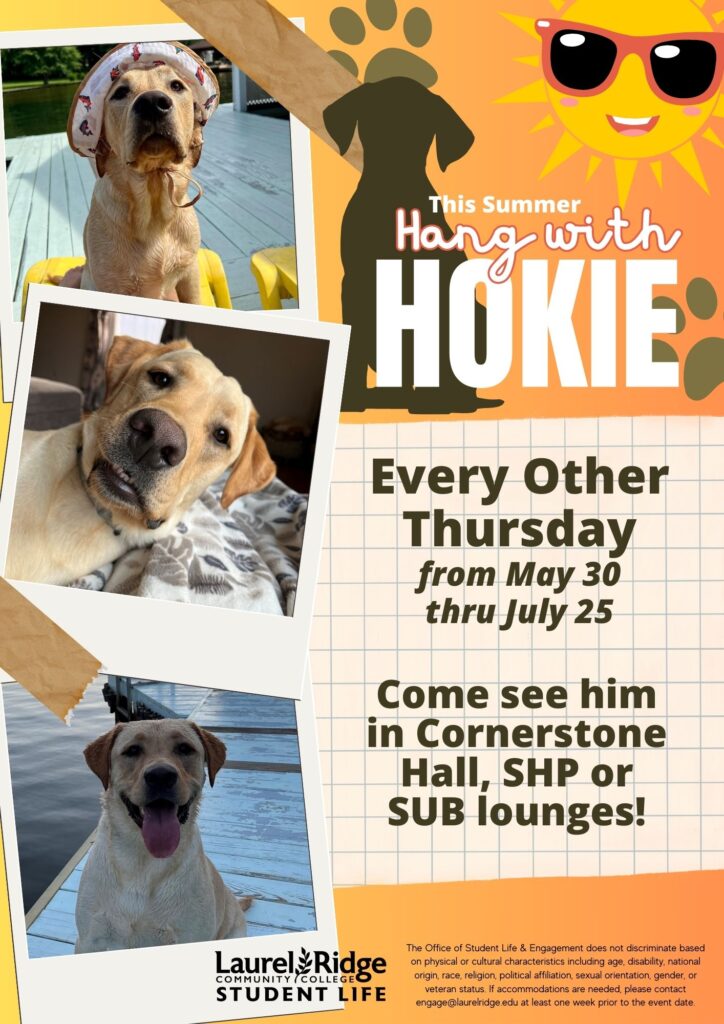 Summer Therapy Dogs flyer