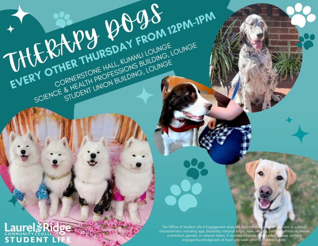 Therapy dogs flyer