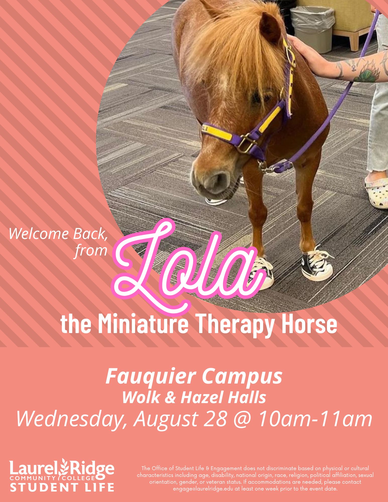 Lola the Therapy Horse flyer