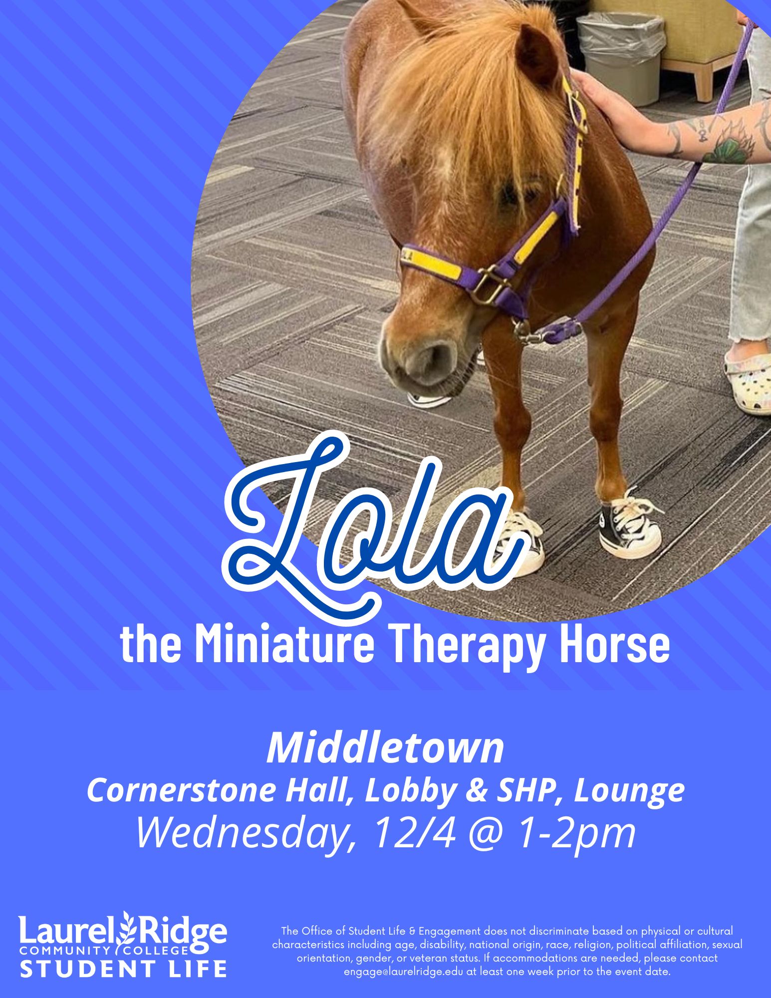 Lola the Therapy Horse