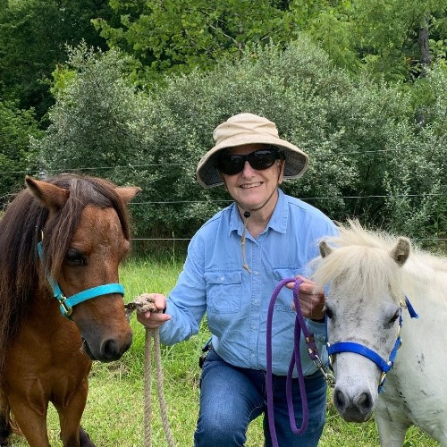 Rebecca with horses