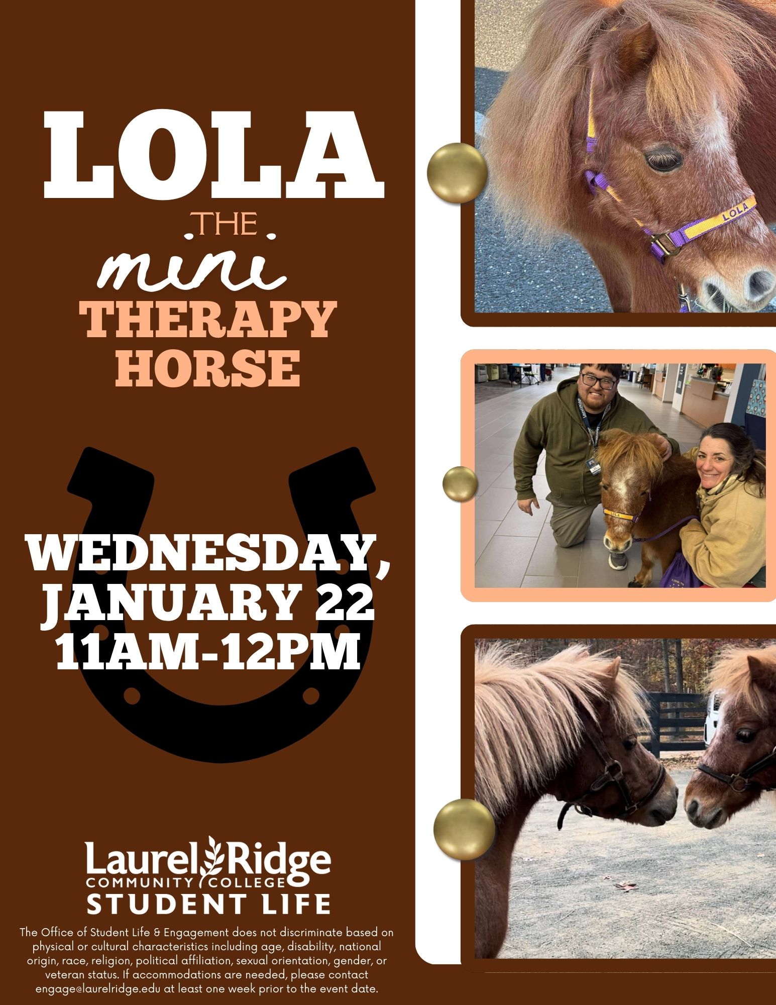 Mini Therapy Horse pics and flyer