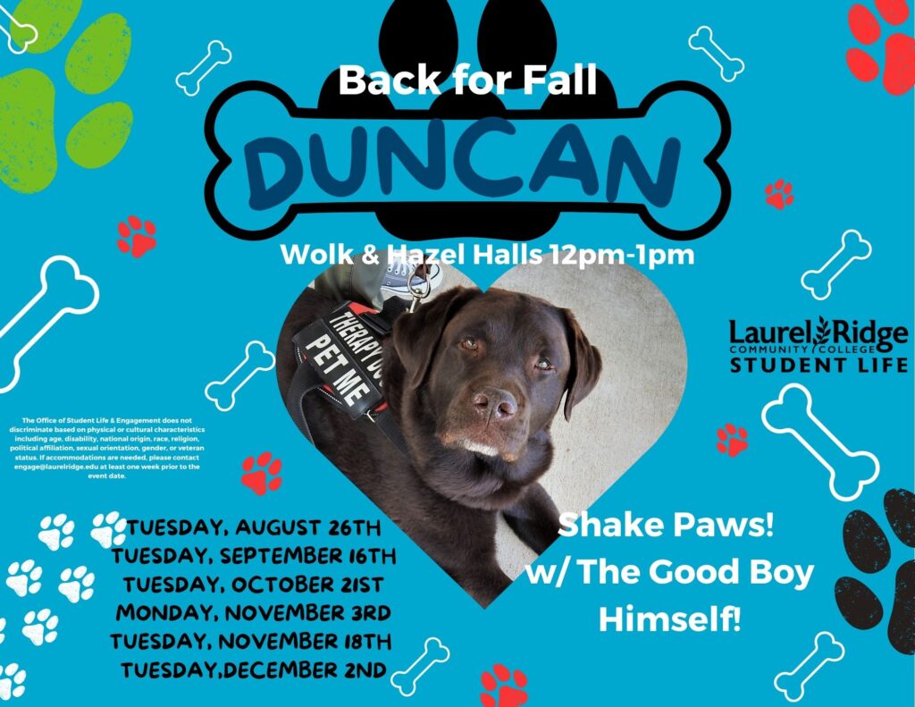 Duncan the Therapy Dog