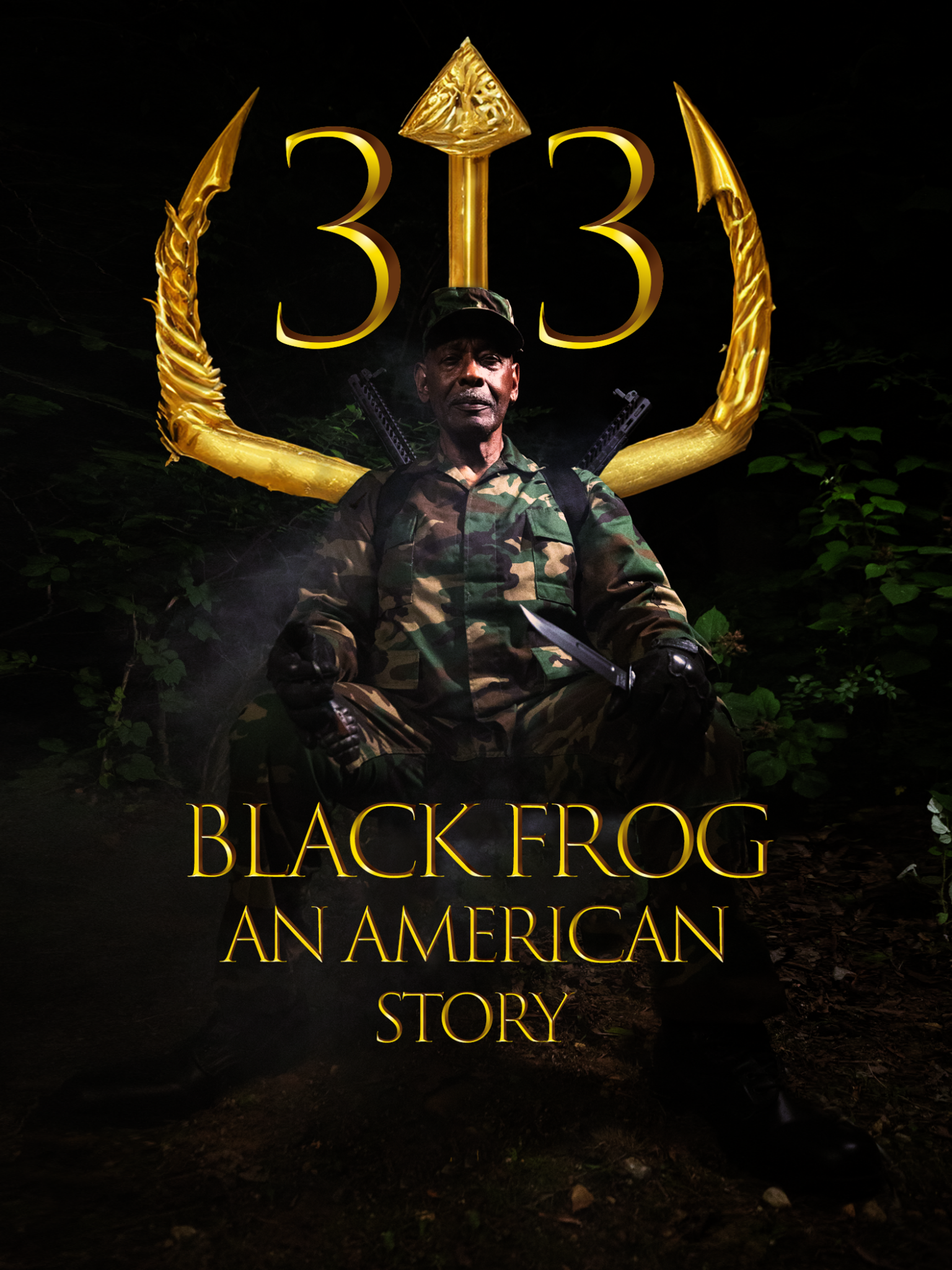 Black Frog An American Story