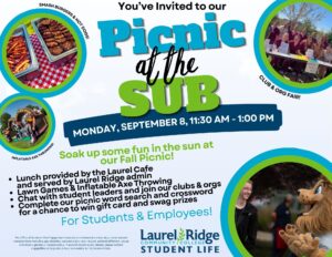 Picnic at the Sub Flyer