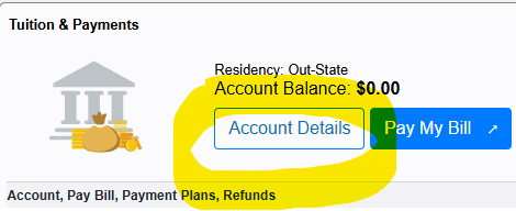 Click Account Details under the Tuition & Payments section.