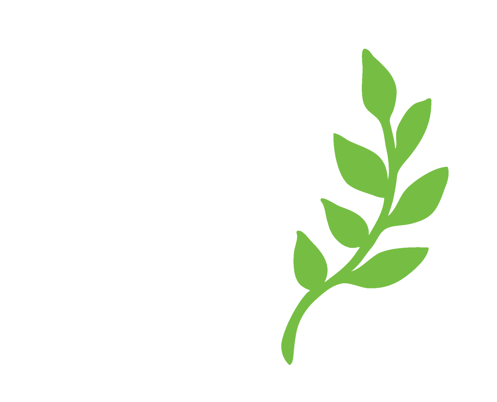 an image with the white words Grow with Us and a green laurel leaf icon