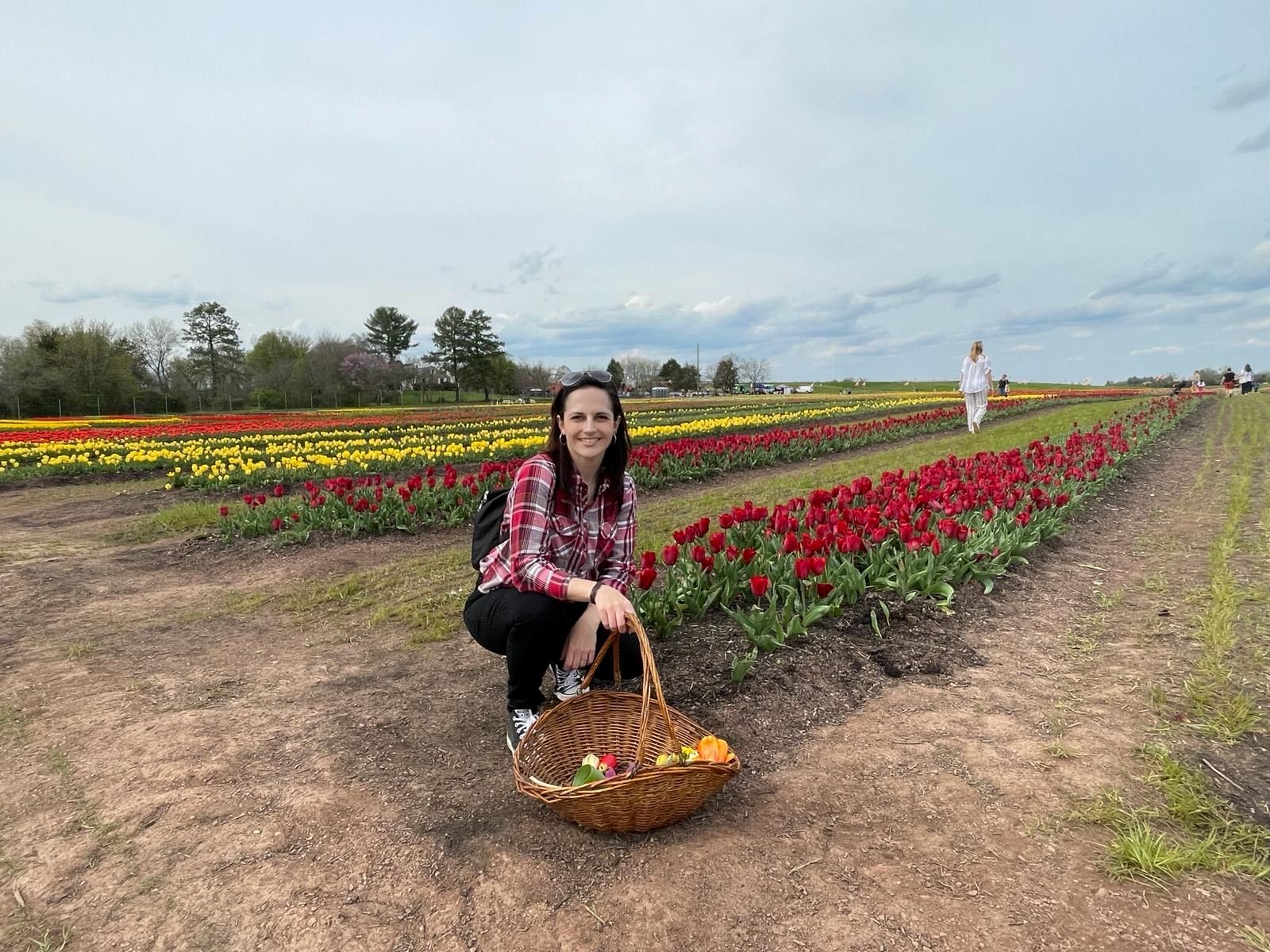 A woman crouches beside a wicker basket filled with freshly picked tulips at an outdoor tulip farm. She is smiling at the camera, wearing a red plaid shirt, black pants, and sunglasses pushed up on her head. Rows of red and yellow tulips extend into the background under a cloudy spring sky, with trees and other visitors visible in the distance.